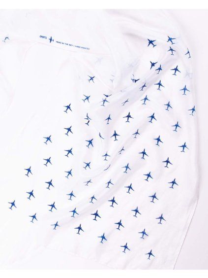 bily hedvabny sal s dopravnimi letadly boeing737 eeroplane detail