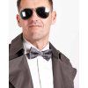 sedy pansky motylek s dopravnim letadlem eeroplane pilot